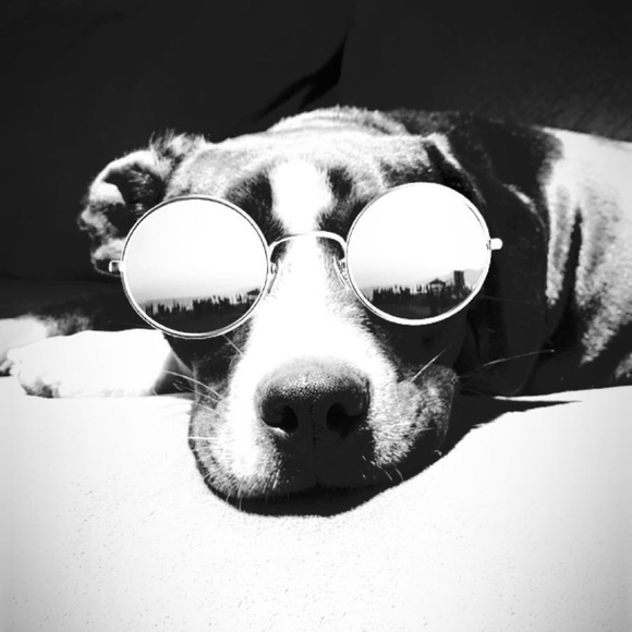 Meet your Posher, David - Picture 1 of 1